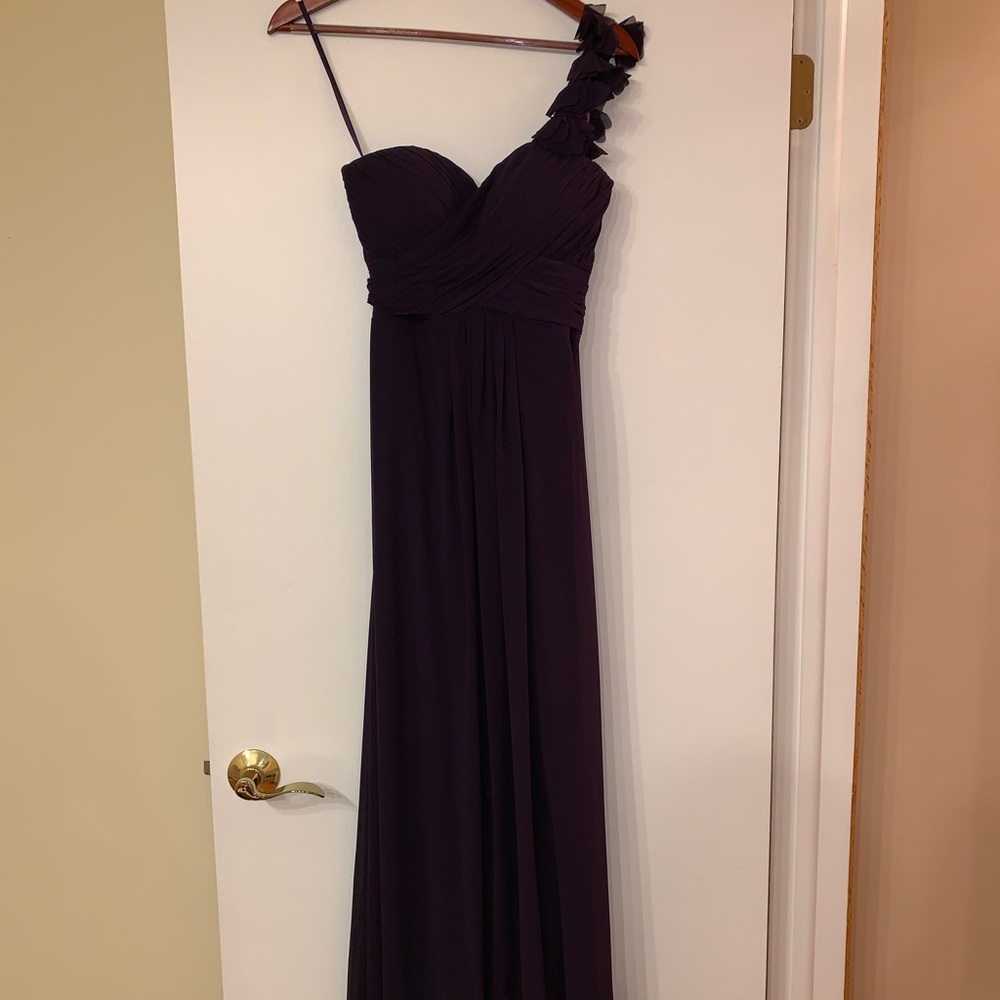 Long Plum Dress